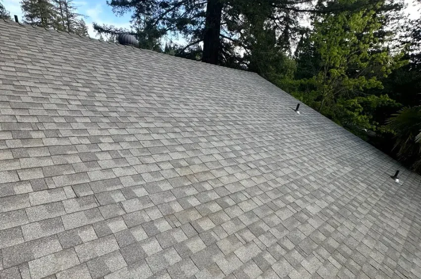 Roof cleaning